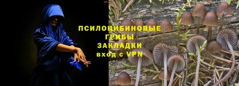 цена наркотик  Межгорье  Галлюциногенные грибы MAGIC MUSHROOMS 